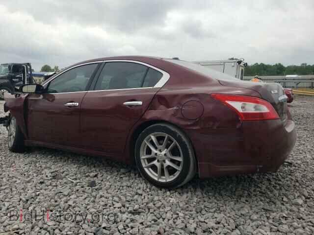 2009 NISSAN MAXIMA - VIN: 1N4AA51E49C845296 - Фото 2