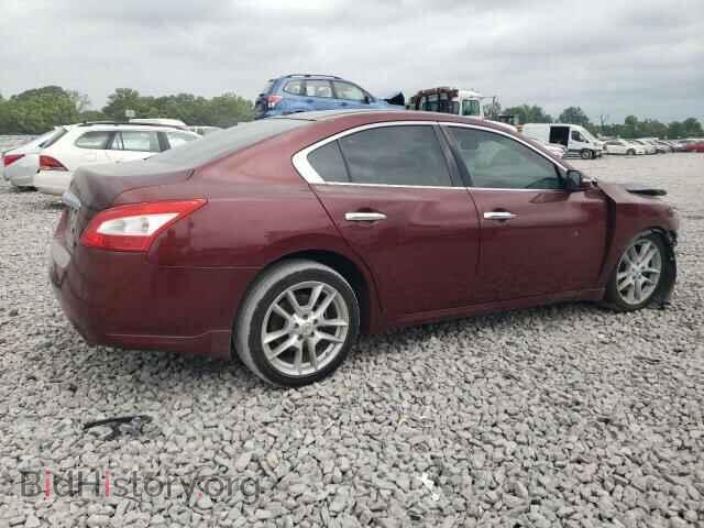 2009 NISSAN MAXIMA - VIN: 1N4AA51E49C845296 - Фото 3