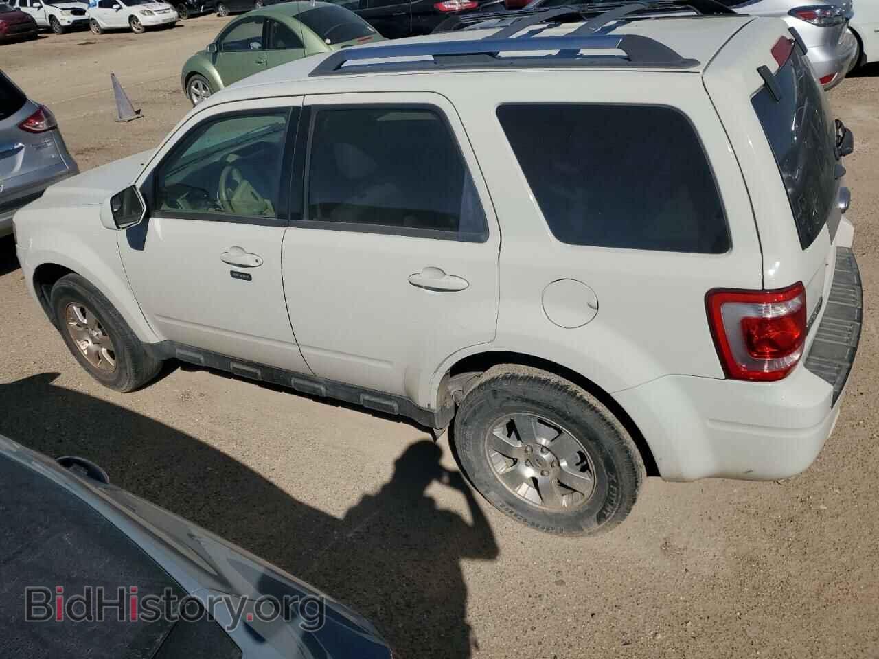 2011 FORD ESCAPE - VIN: 1FMCU0E76BKC24979 - Фото 2