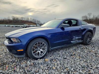 2012 Ford ALL MODELS, blue — VIN 1ZVBP8AM3C5277752, Copart