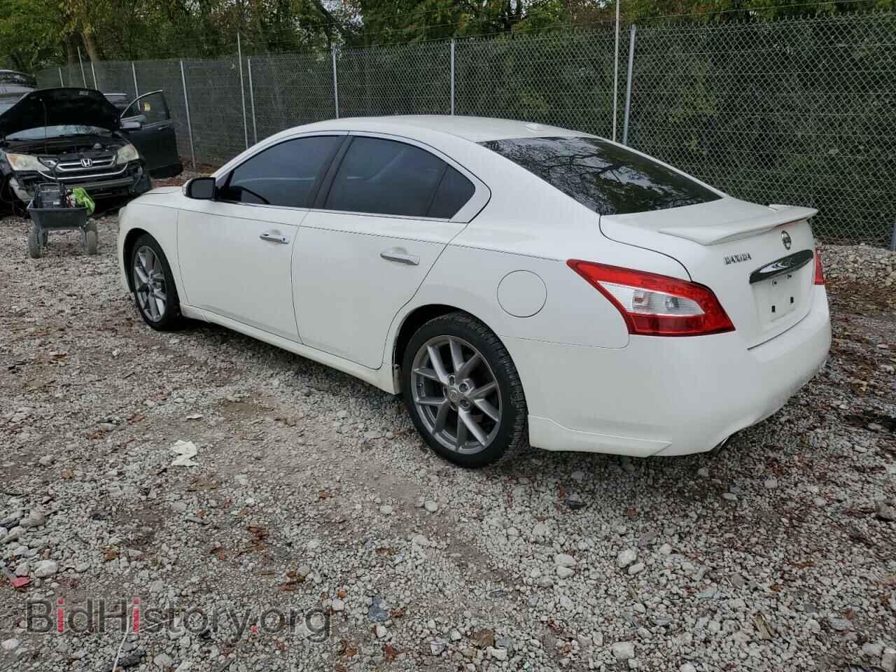 2011 NISSAN MAXIMA - VIN: 1N4AA5AP8BC840951 - Фото 2