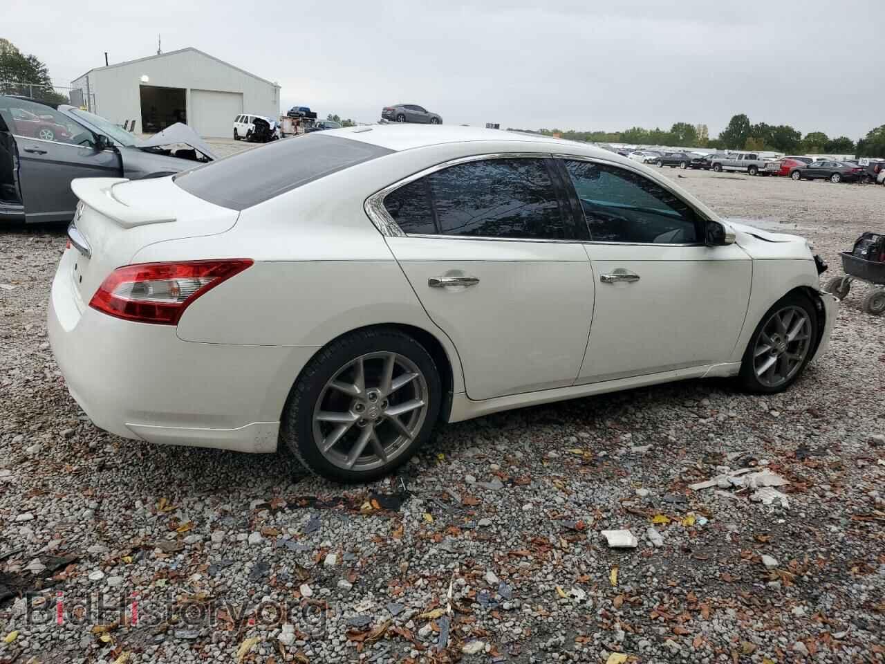 2011 NISSAN MAXIMA - VIN: 1N4AA5AP8BC840951 - Фото 3