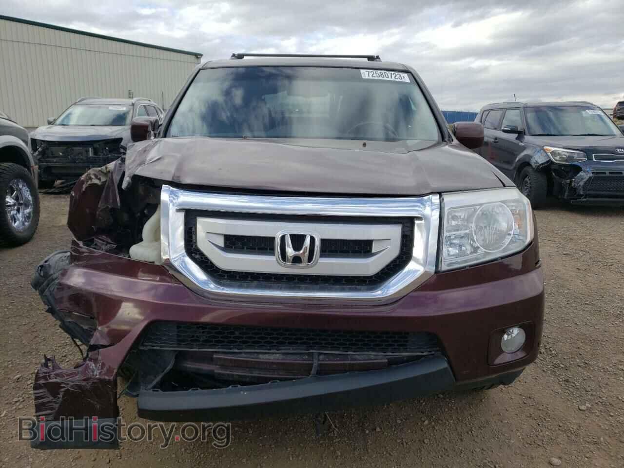 2009 HONDA PILOT - VIN: 5FNYF48939B504522 - Фото 5