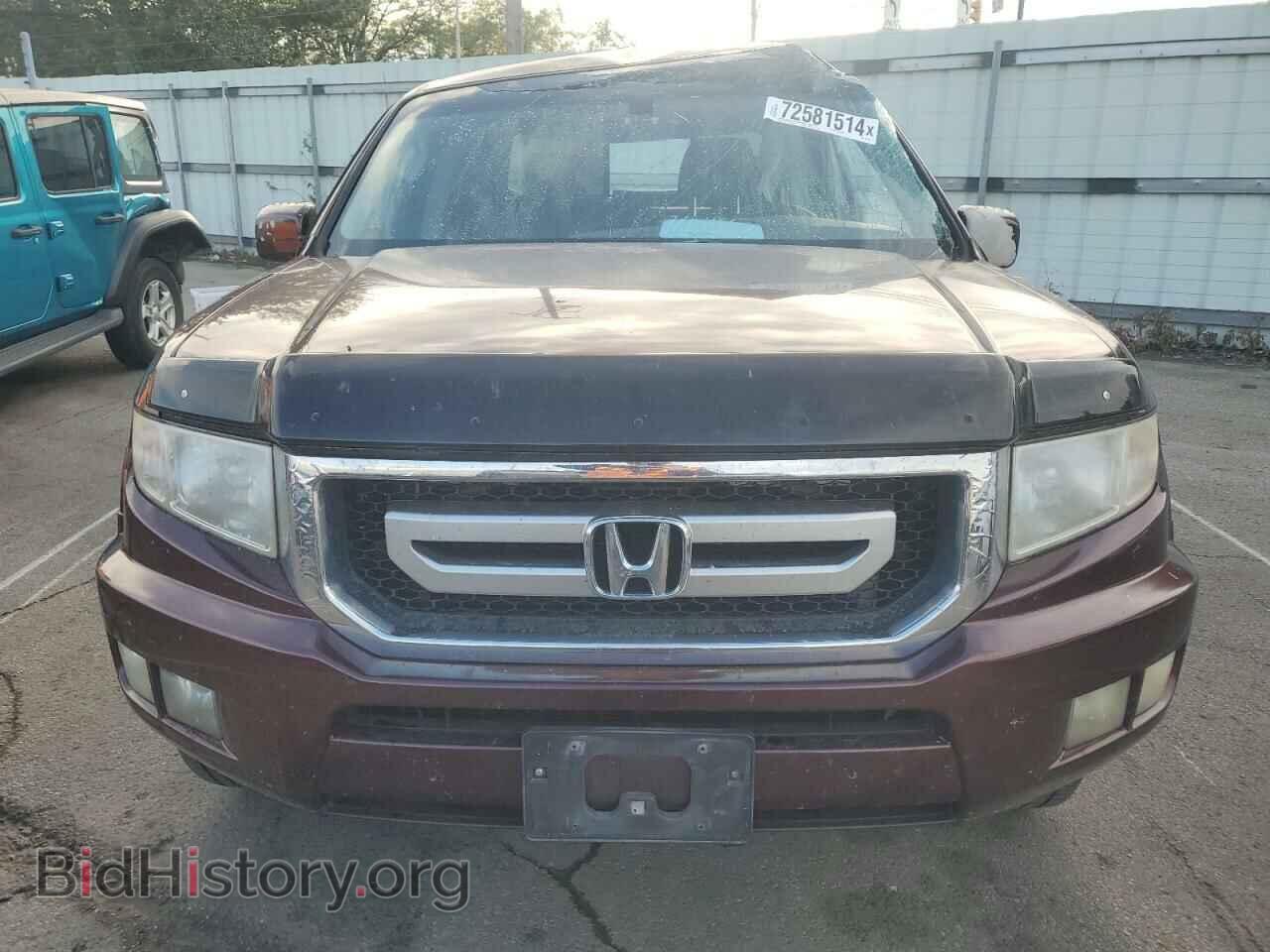 2010 HONDA RIDGELINE - VIN: 5FPYK1F46AB007039 - Фото 5