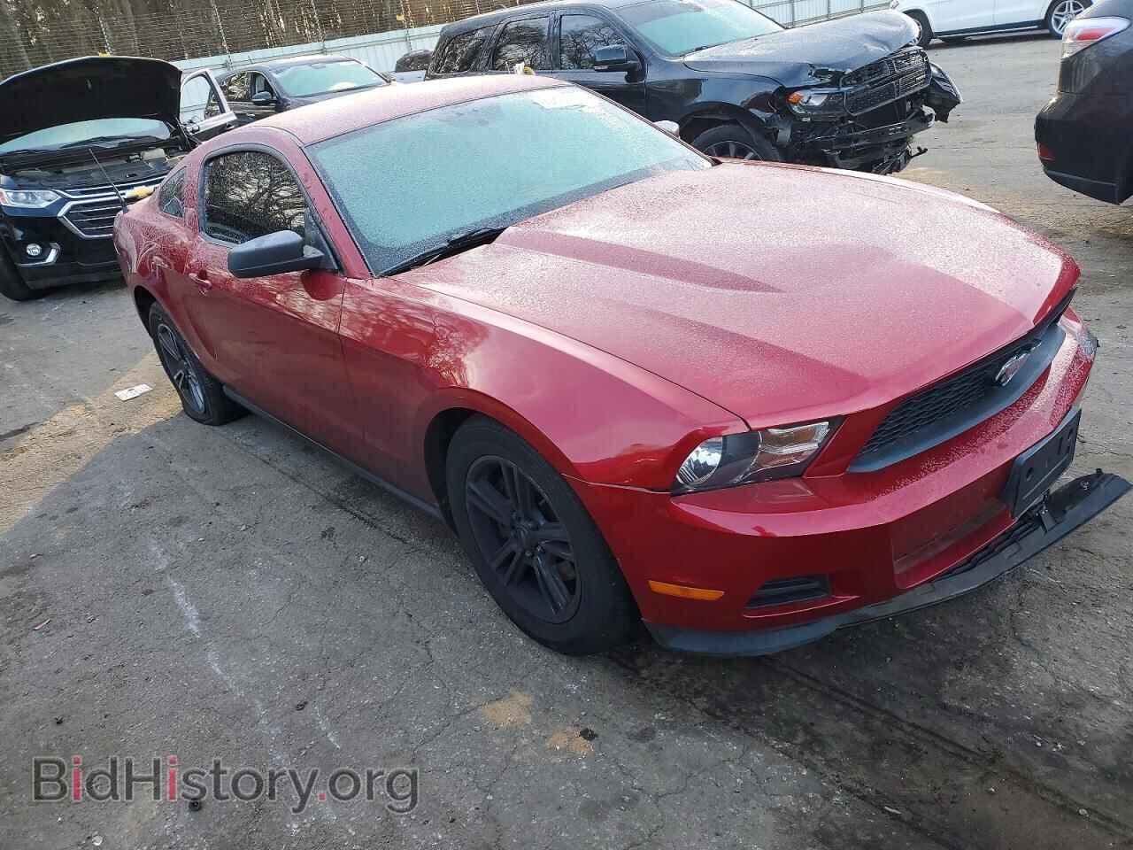 2011 FORD ALL Models - VIN: 1ZVBP8AM6B5114527 - Фото 4