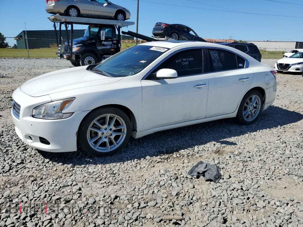Фотография 1N4AA5AP7BC831786 - NISSAN MAXIMA 2011