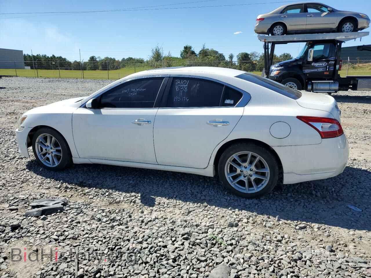 2011 NISSAN MAXIMA - VIN: 1N4AA5AP7BC831786 - Фото 2