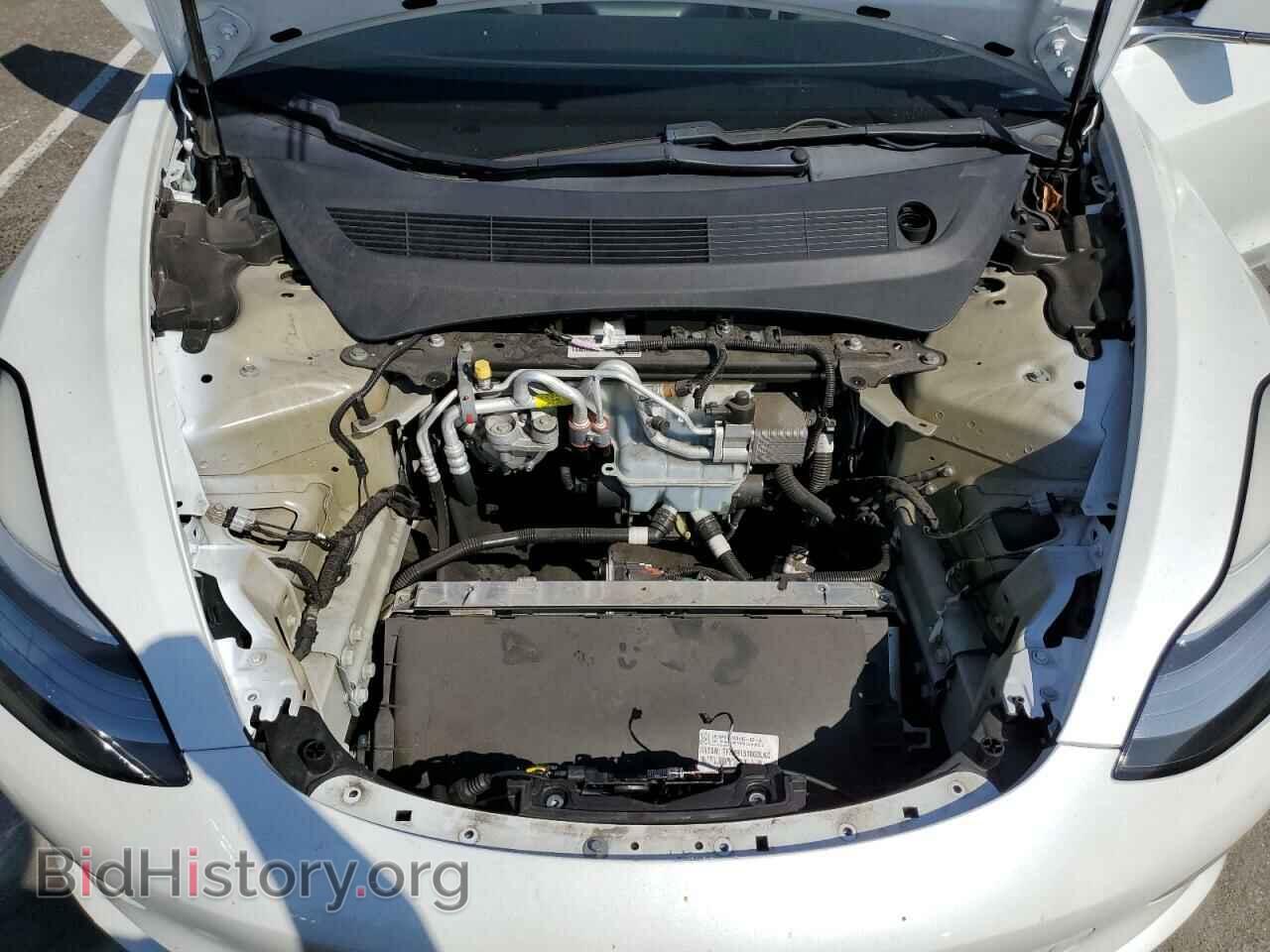2019 TESLA MODEL 3 - VIN: 5YJ3E1EA4KF317824 - Фото 11