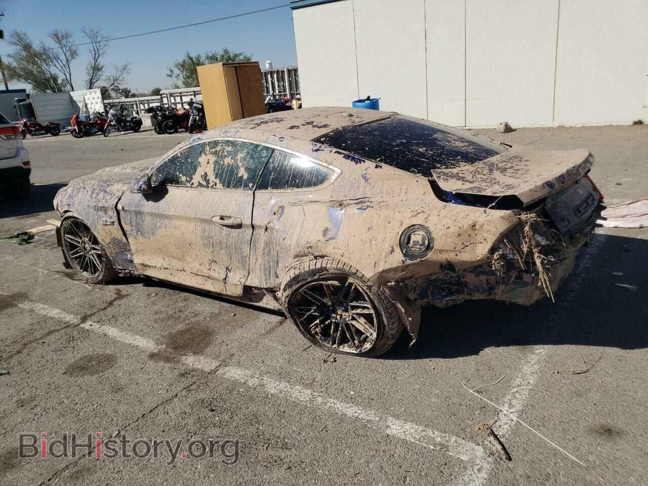 2016 FORD ALL Models - VIN: 1FA6P8TH7G5256449 - Photo 2