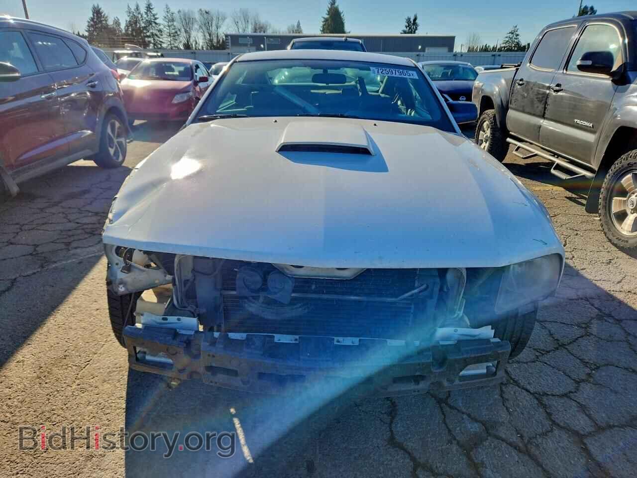 2008 FORD MUSTANG - VIN: 1ZVHT82H985146081 - Фото 5