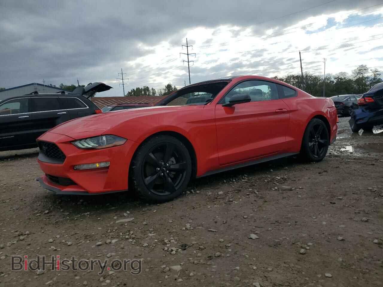 Photo 1FA6P8TH5M5113172 - FORD ALL Models 2021