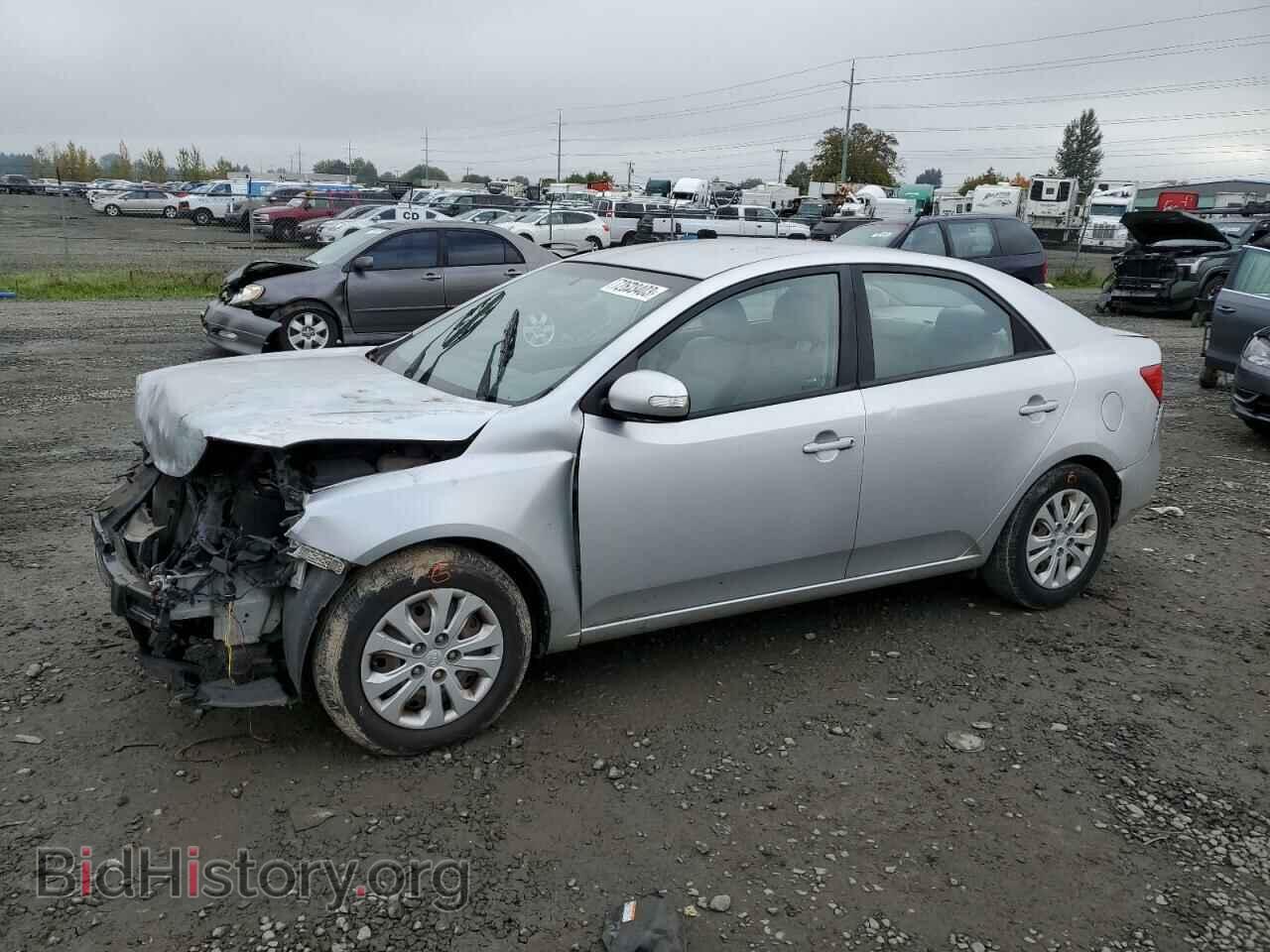Фотография KNAFU4A25A5111523 - KIA FORTE 2010