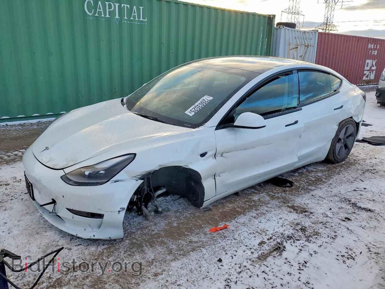 Photo 5YJ3E1EBXPF389191 - TESLA MODEL 3 2023
