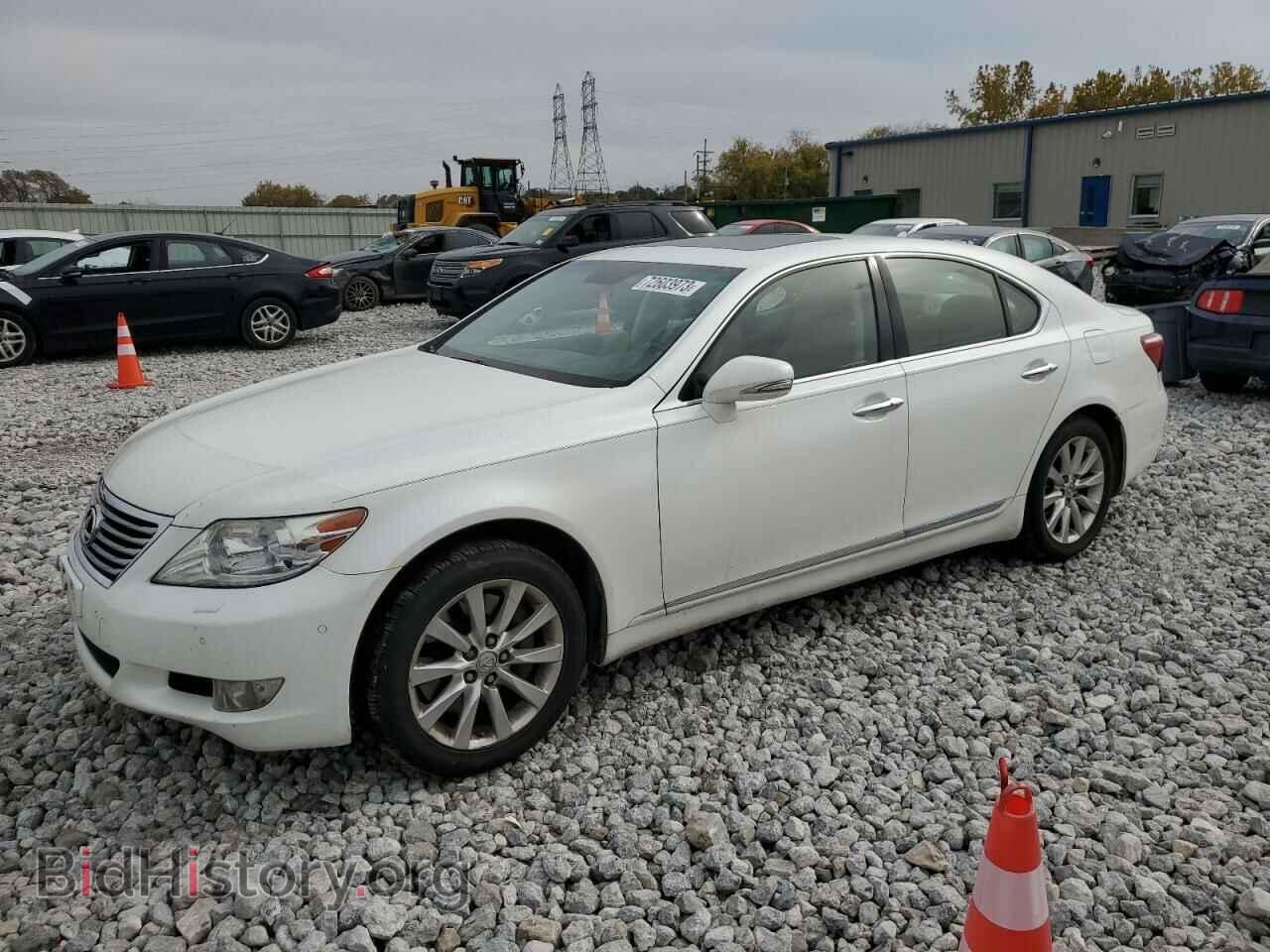 Фотография JTHCL5EF1A5007167 - LEXUS LS460 2010