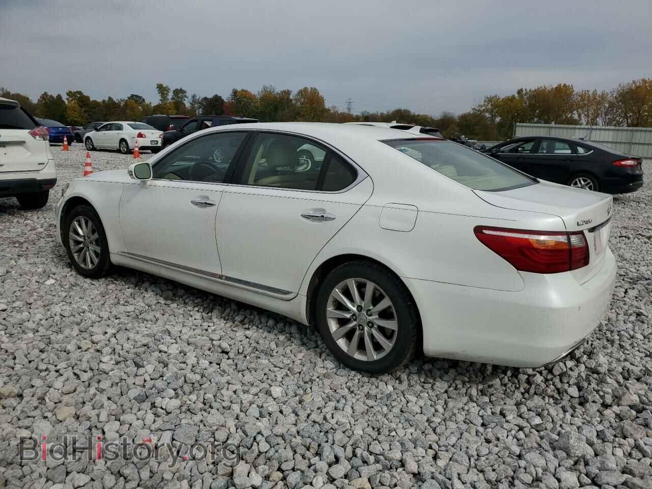 2010 LEXUS LS460 - VIN: JTHCL5EF1A5007167 - Фото 2