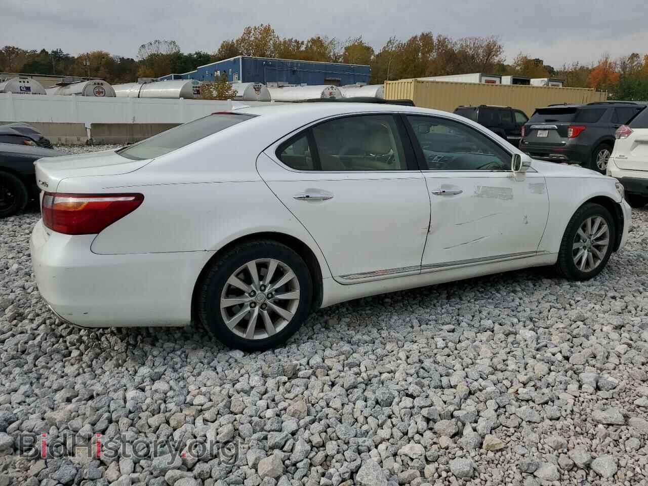 2010 LEXUS LS460 - VIN: JTHCL5EF1A5007167 - Фото 3