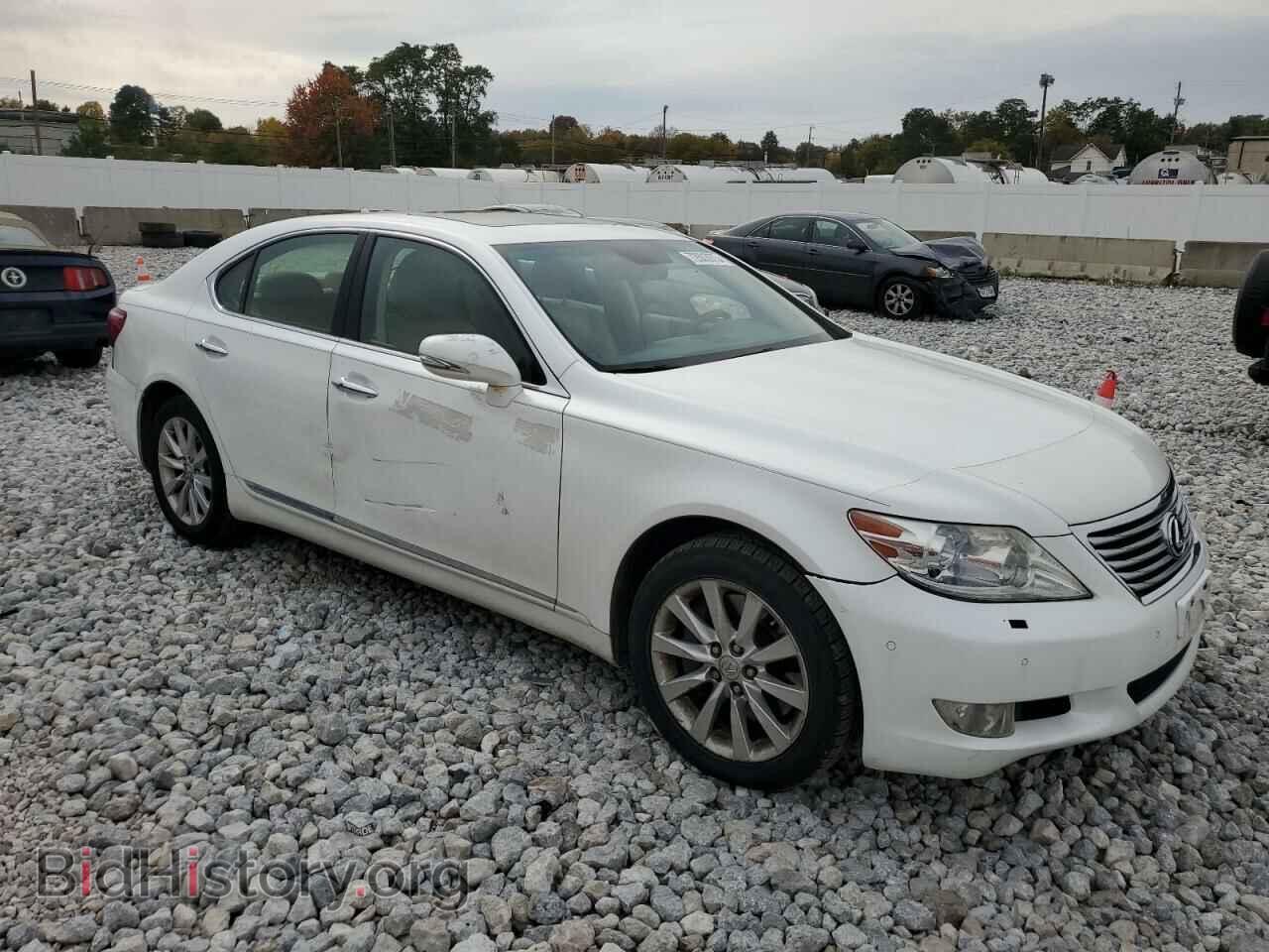 2010 LEXUS LS460 - VIN: JTHCL5EF1A5007167 - Фото 4
