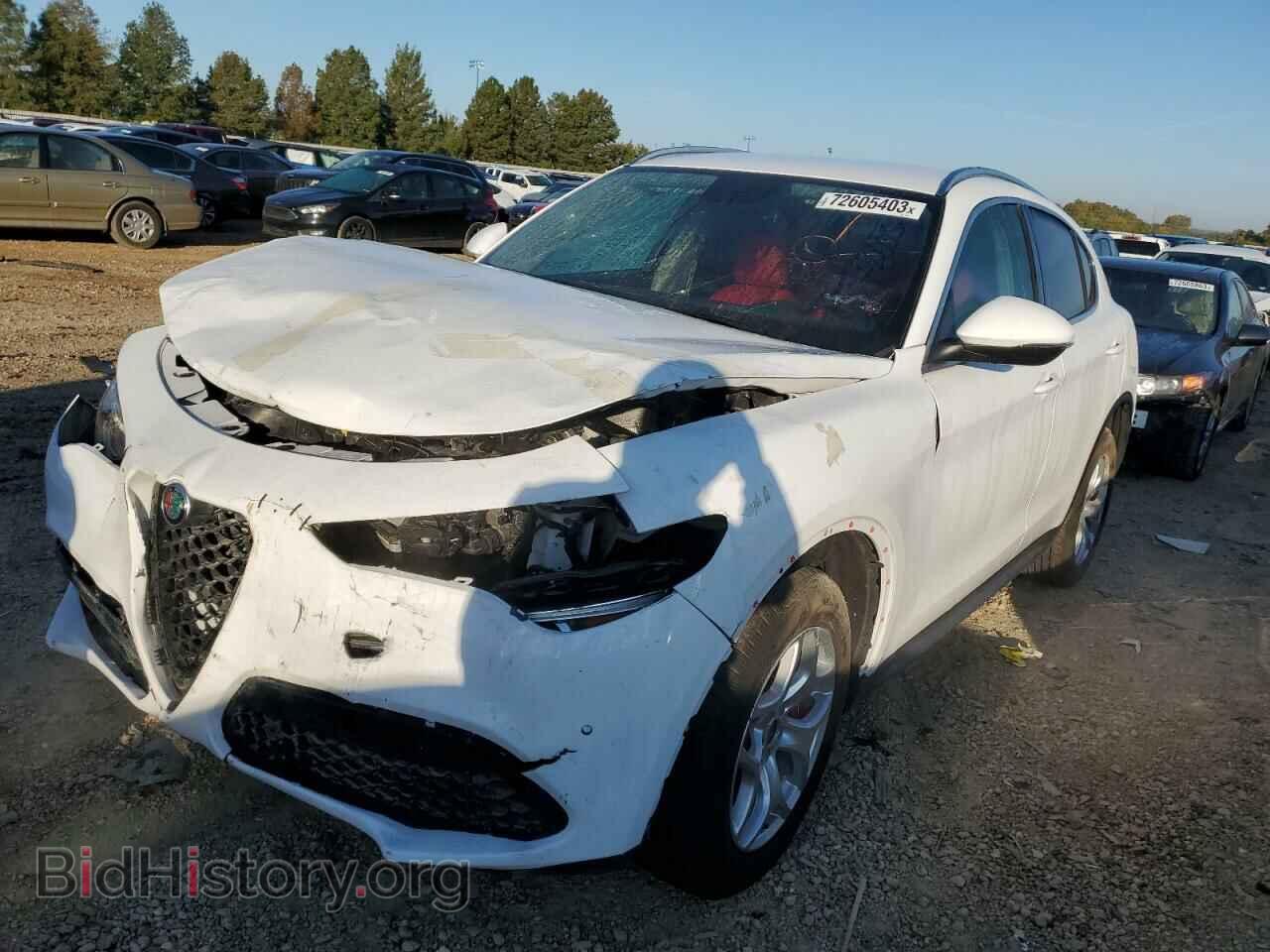 Photo ZASPAKAN5K7C44293 - ALFA ROMEO STELVIO 2019