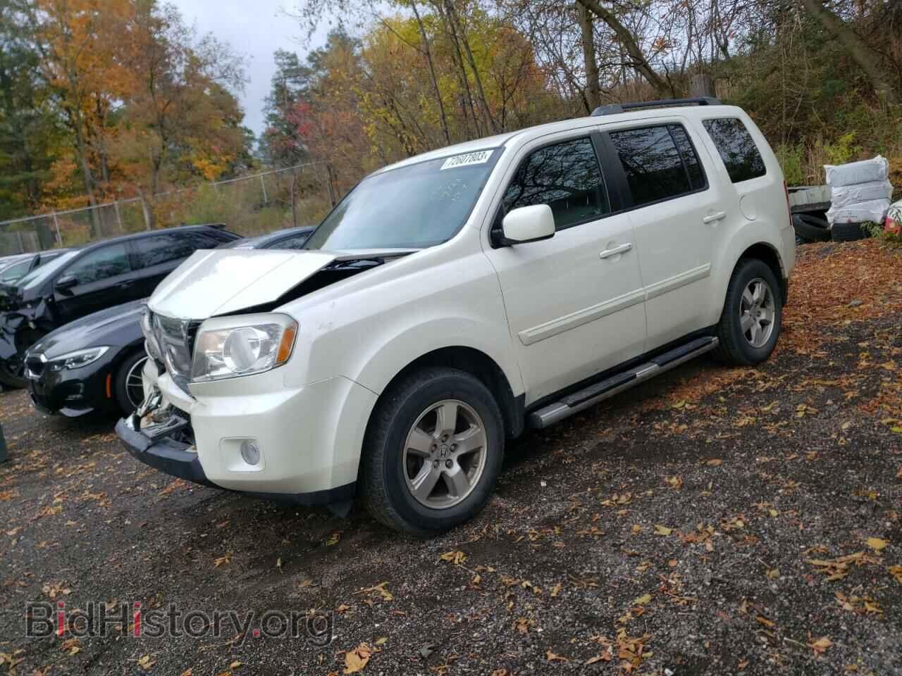 Photo 5FNYF4H49BB507614 - HONDA PILOT 2011