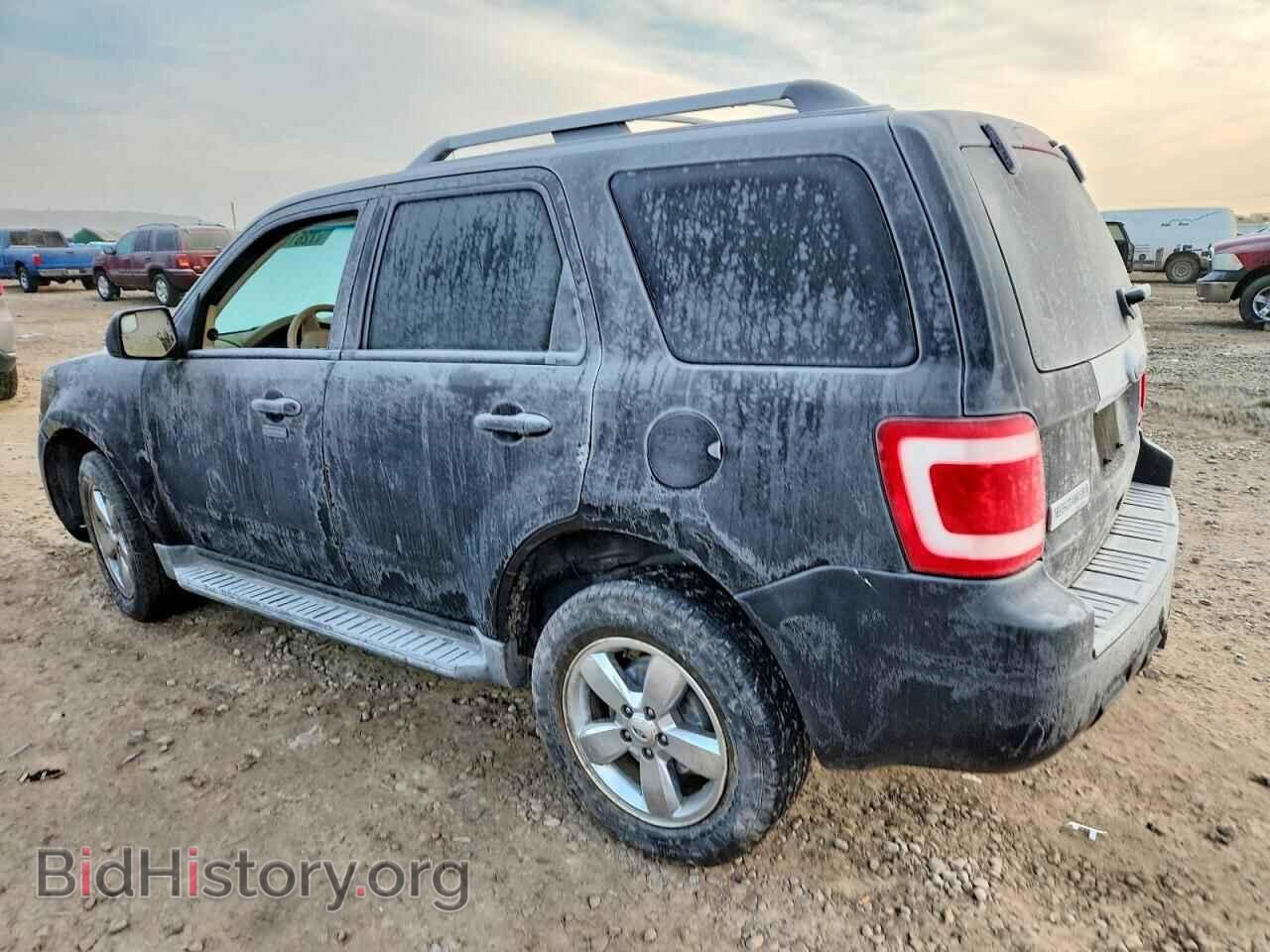 2010 FORD ESCAPE - VIN: 1FMCU9EG3AKD46427 - Фото 2