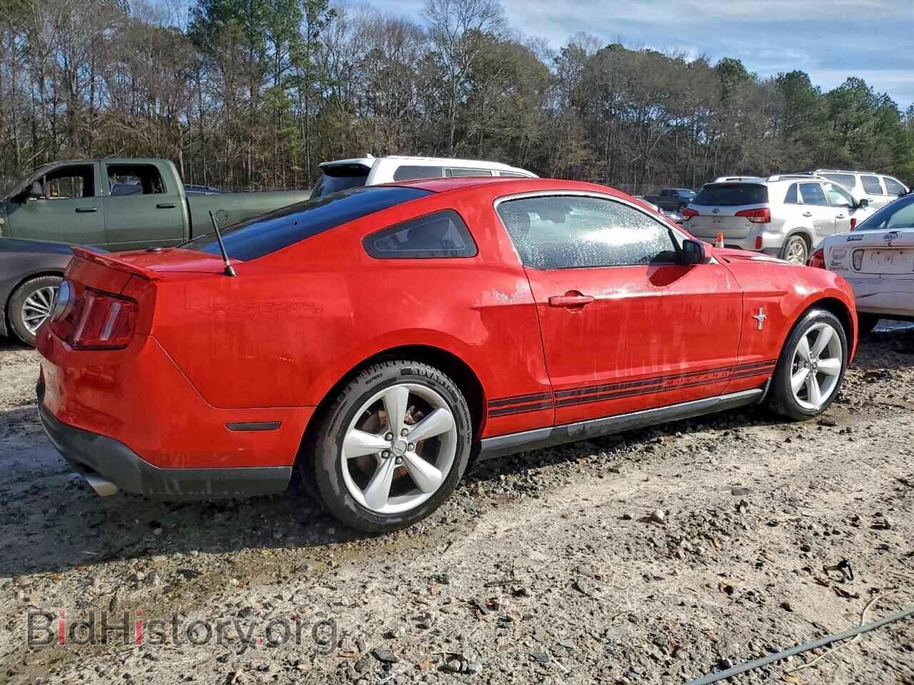 2011 FORD ALL Models - VIN: 1ZVBP8AM2B5135004 - Фото 3