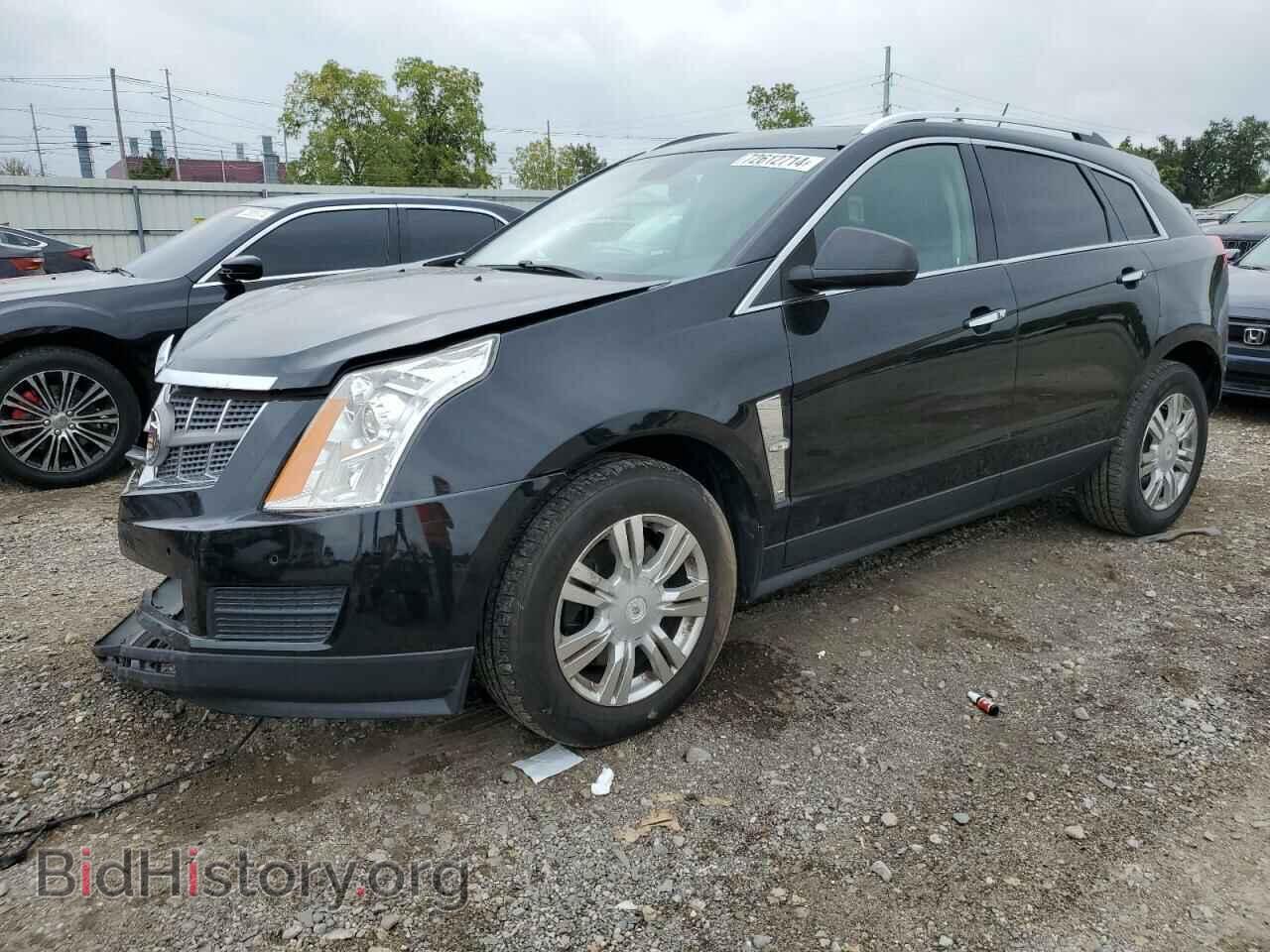 Photo 3GYFNDEY3BS672903 - CADILLAC SRX 2011