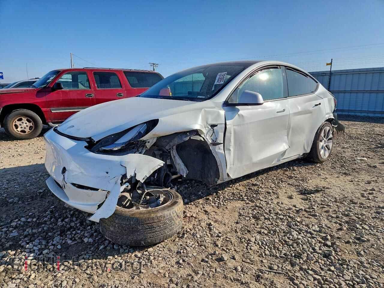 Photo 7SAYGAEE9PF946931 - TESLA MODEL Y 2023