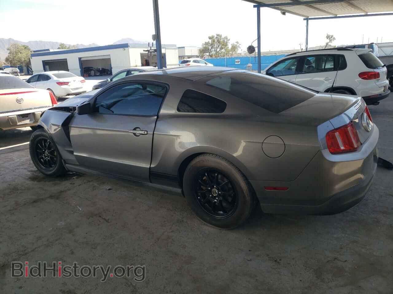 2010 FORD ALL Models - VIN: 1ZVBP8AN9A5101150 - Фото 2
