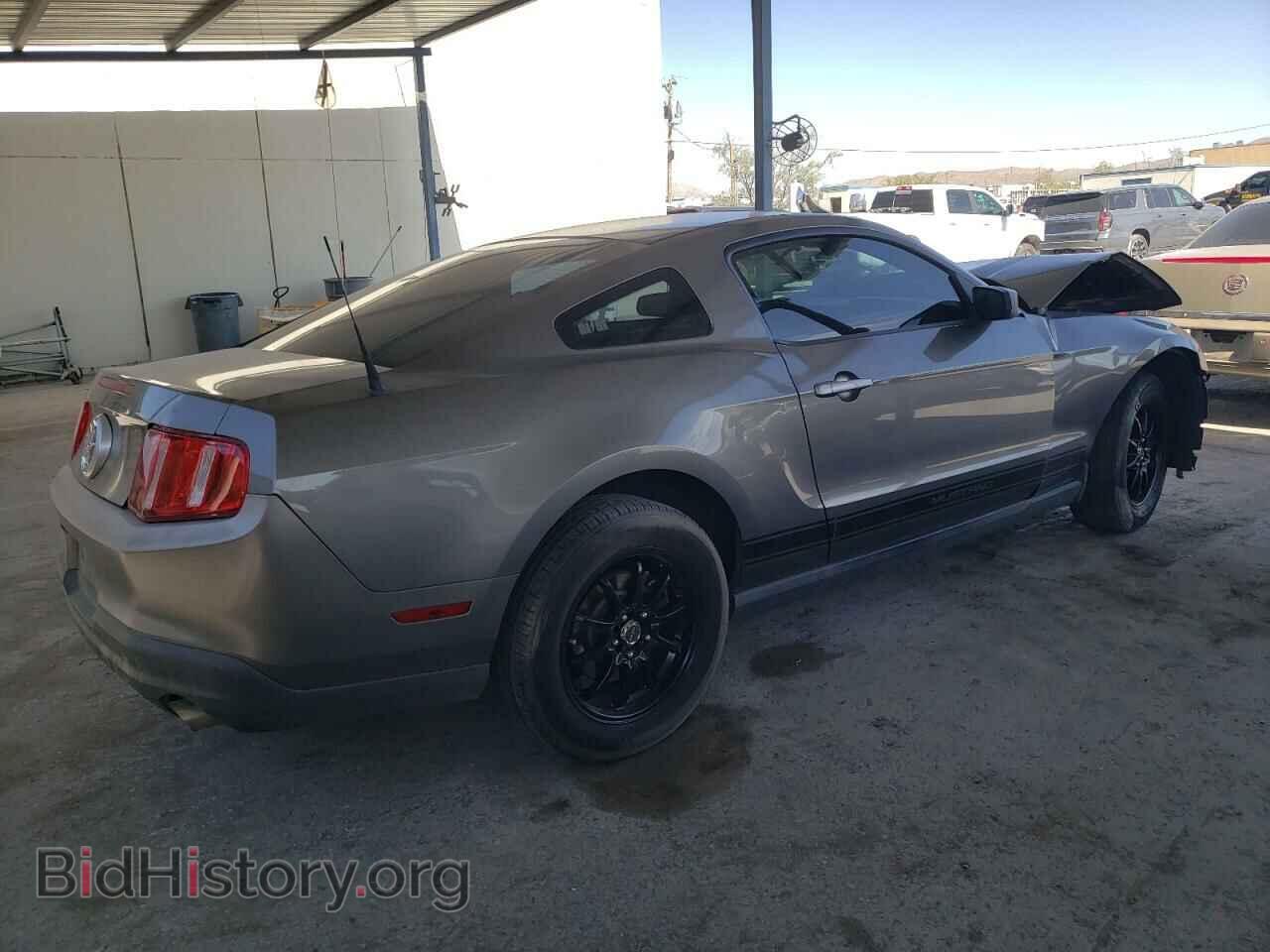 2010 FORD ALL Models - VIN: 1ZVBP8AN9A5101150 - Фото 3