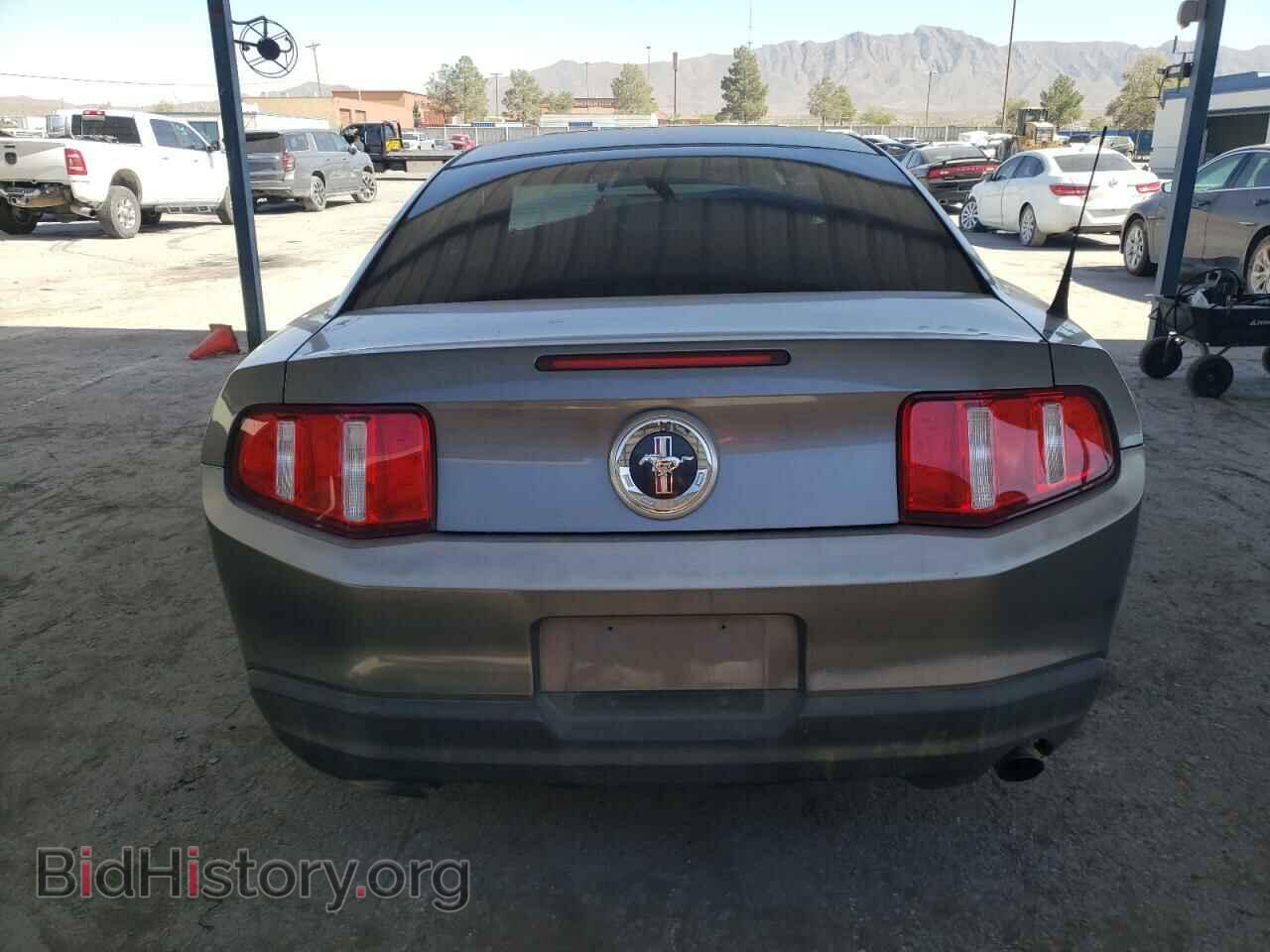 2010 FORD ALL Models - VIN: 1ZVBP8AN9A5101150 - Фото 6