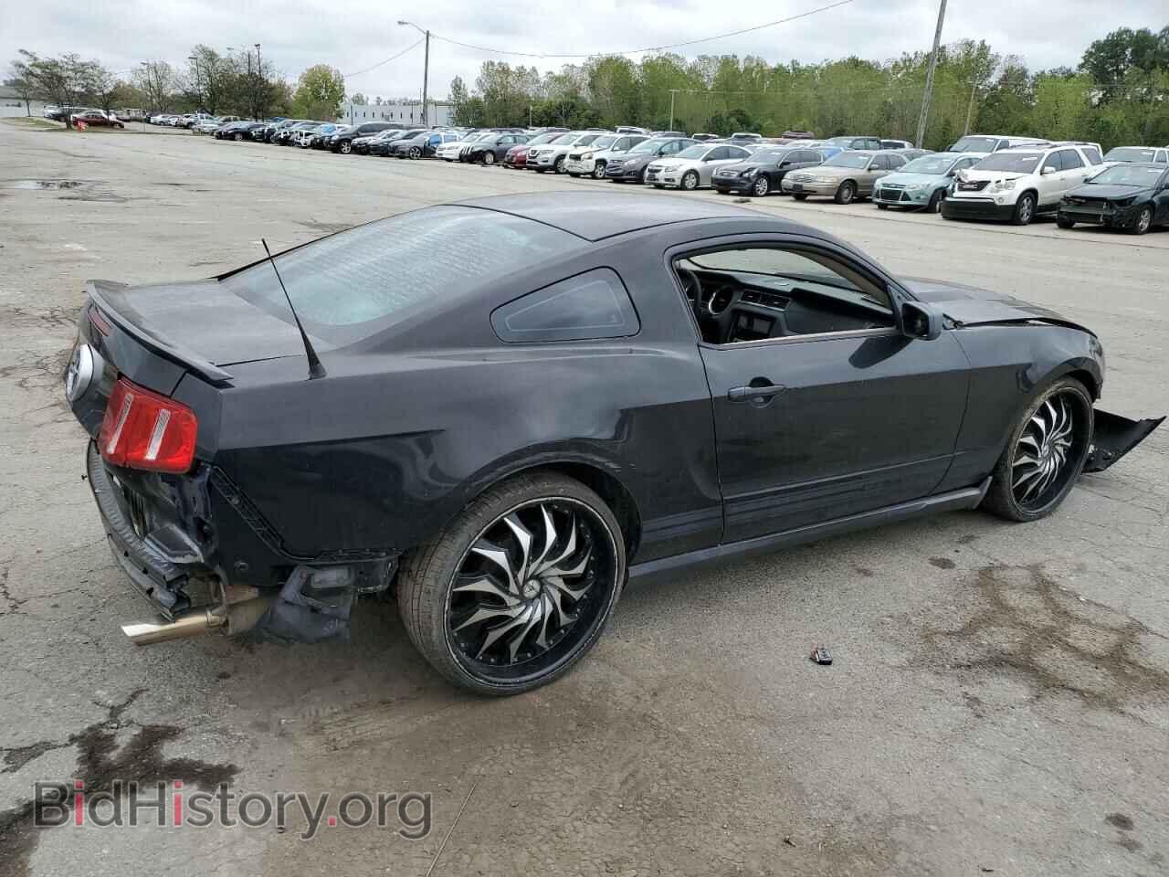 2010 FORD ALL Models - VIN: 1ZVBP8AN2A5143210 - Фото 3