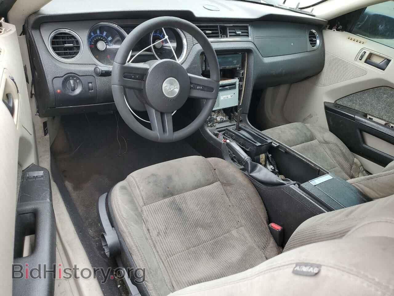 2010 FORD ALL Models - VIN: 1ZVBP8AN2A5143210 - Фото 8