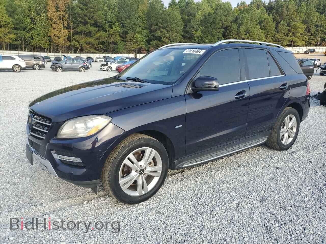 Photo 4JGDA5HB5CA066846 - MERCEDES-BENZ M-CLASS 2012