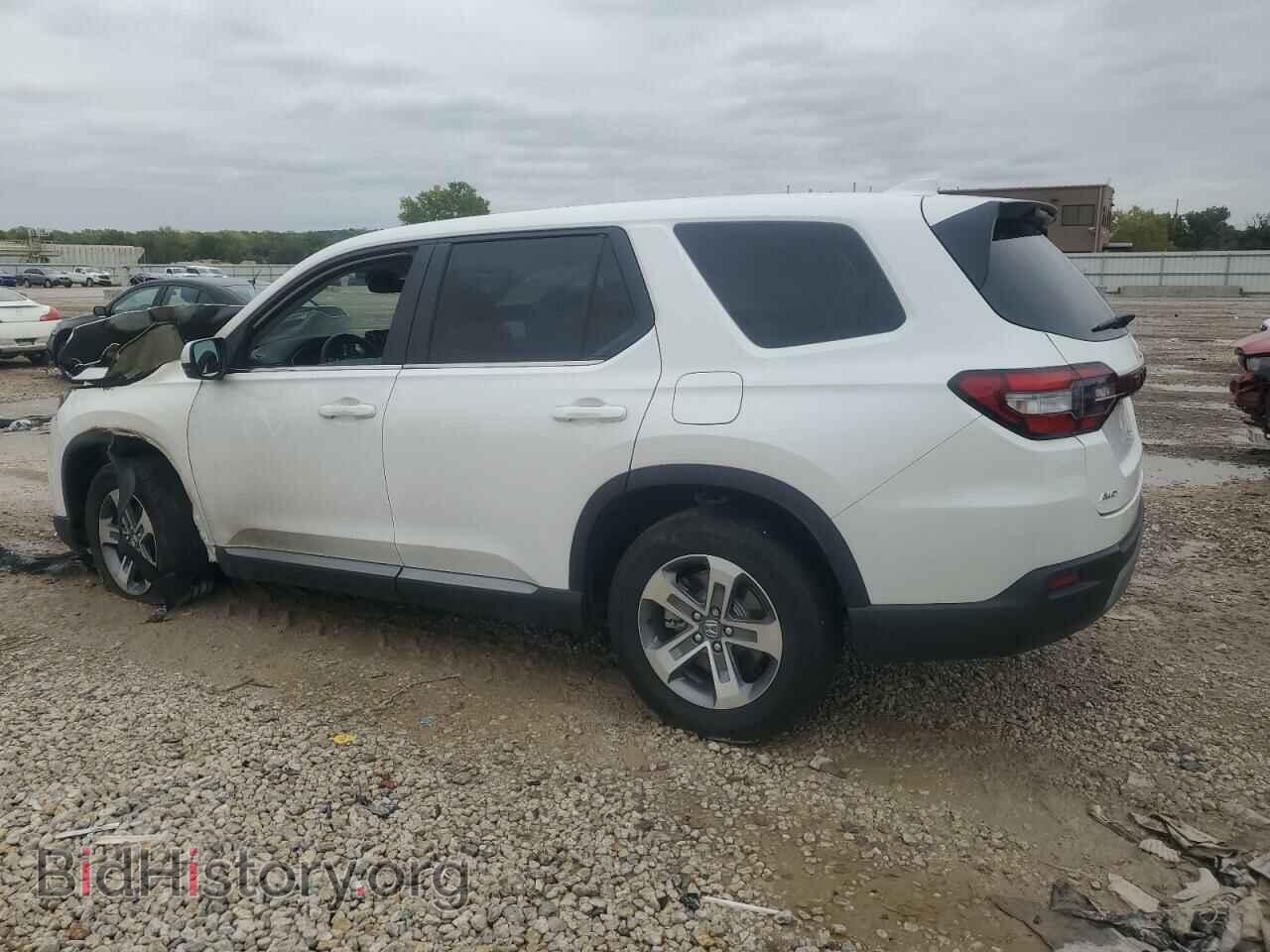 2024 HONDA PILOT - VIN: 5FNYG1H59RB033730 - Фото 2