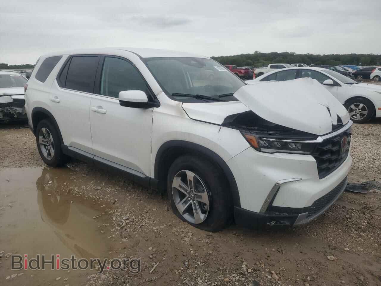 2024 HONDA PILOT - VIN: 5FNYG1H59RB033730 - Фото 4
