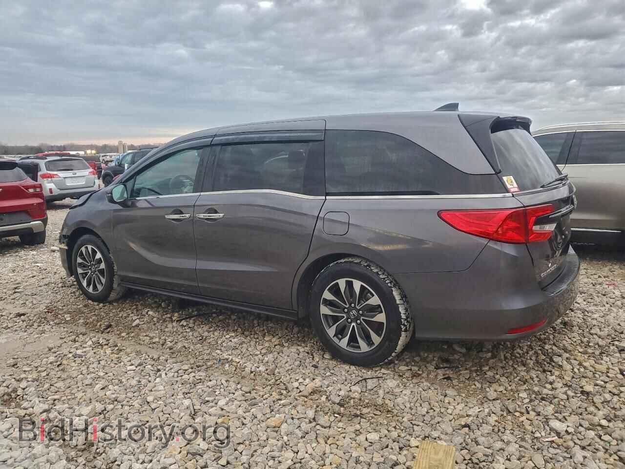 2021 HONDA All Models - VIN: 5FNRL6H74MB025672 - Photo 2