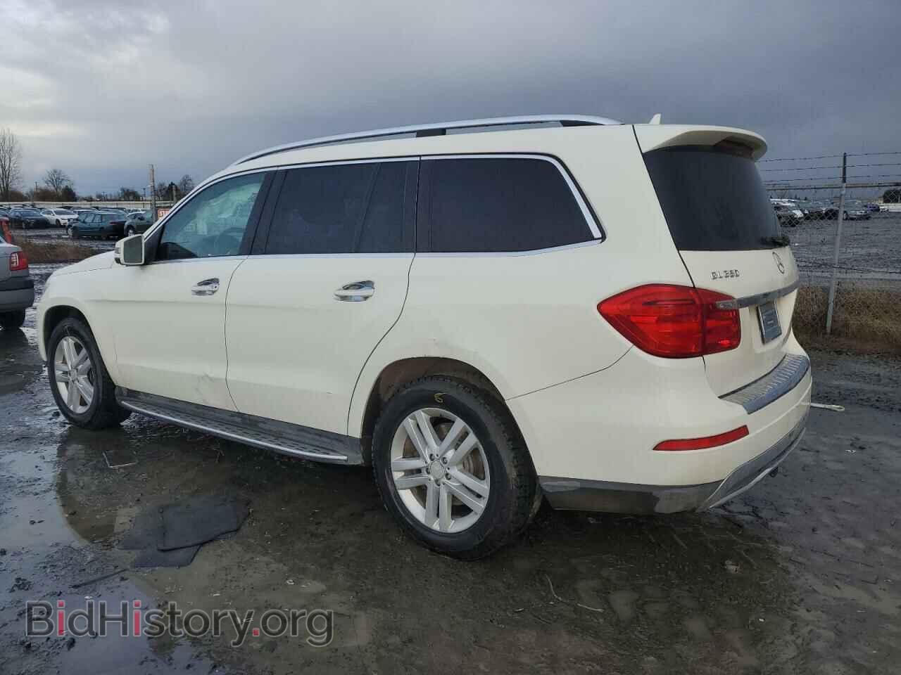 2013 MERCEDES-BENZ GL-CLASS - VIN: 4JGDF2EE2DA163843 - Фото 2