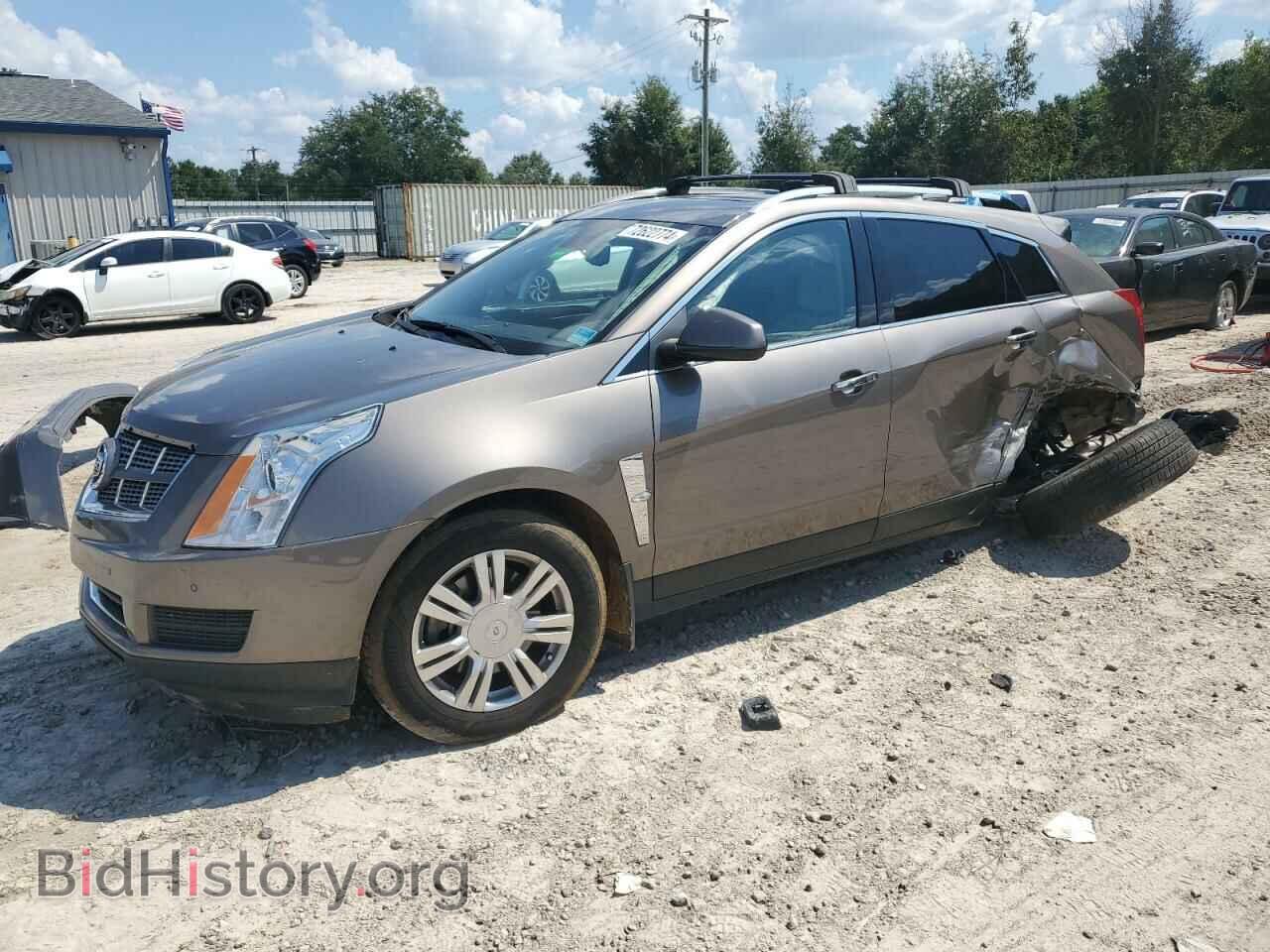 Photo 3GYFNAEY7BS664494 - CADILLAC SRX 2011