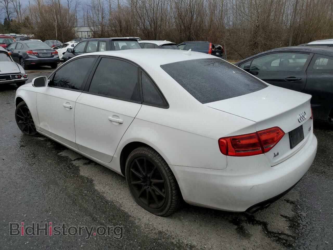 2010 AUDI A4 - VIN: WAUBFAFL7AN029298 - Фото 2