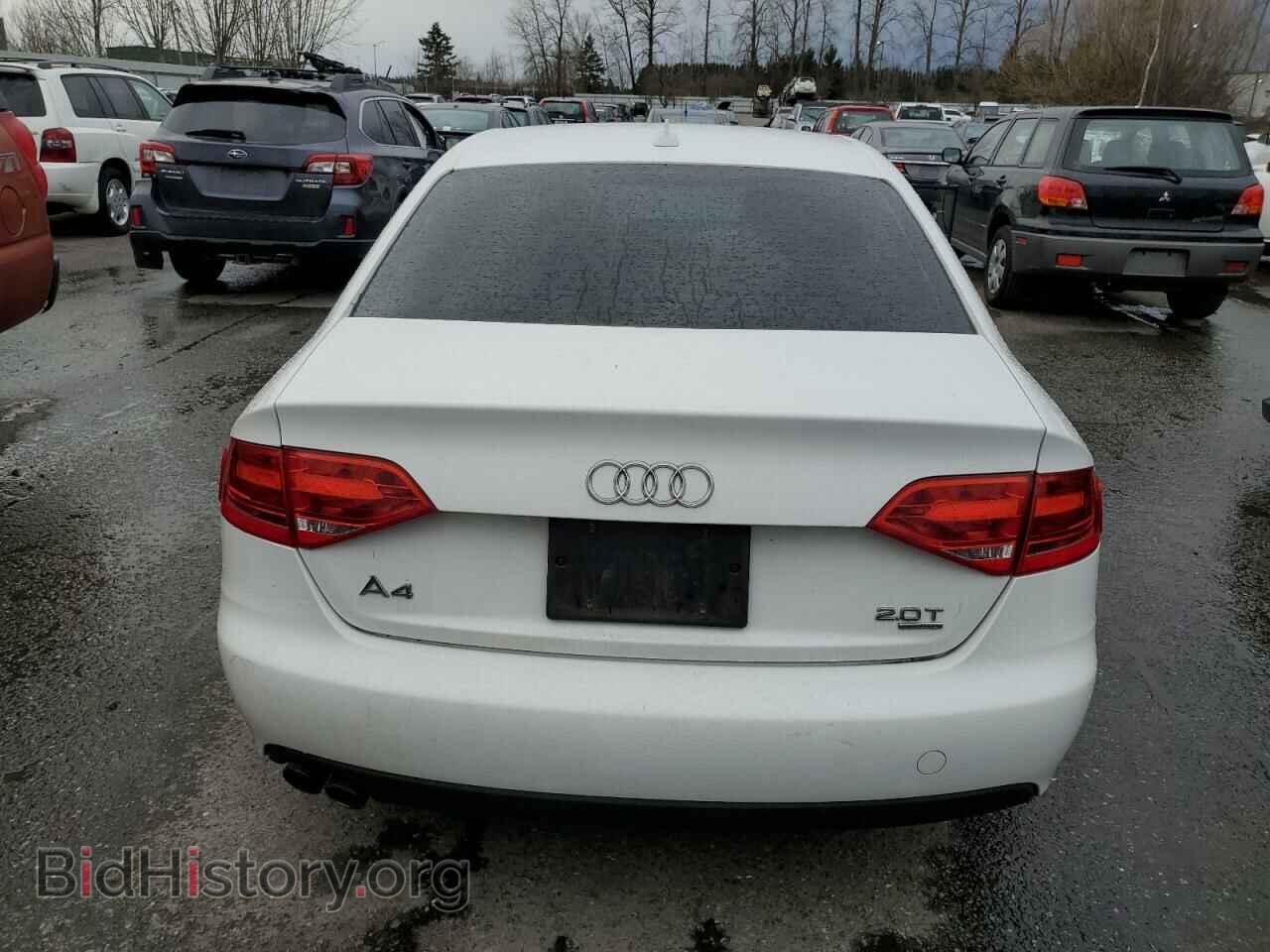 2010 AUDI A4 - VIN: WAUBFAFL7AN029298 - Фото 6