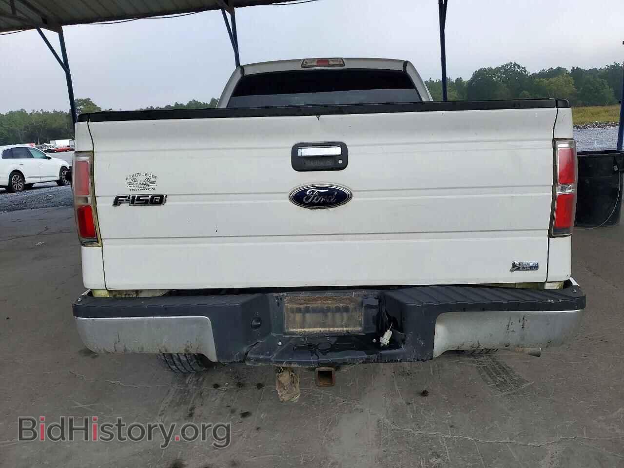 2010 FORD F150 - VIN: 1FTFX1EV6AFD83781 - Фото 6