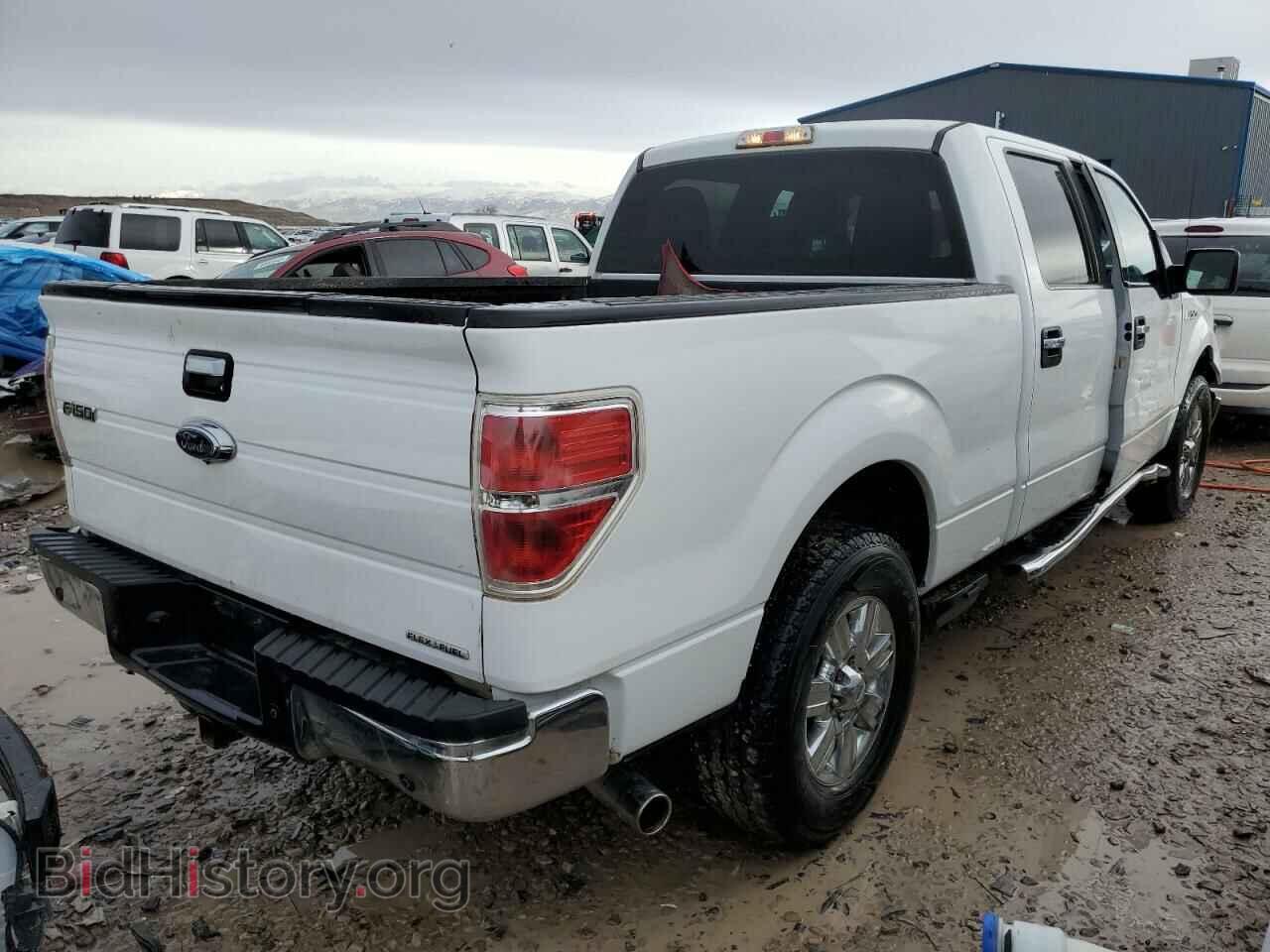 2012 FORD F-150 - VIN: 1FTFW1EF1CFA32405 - Фото 3