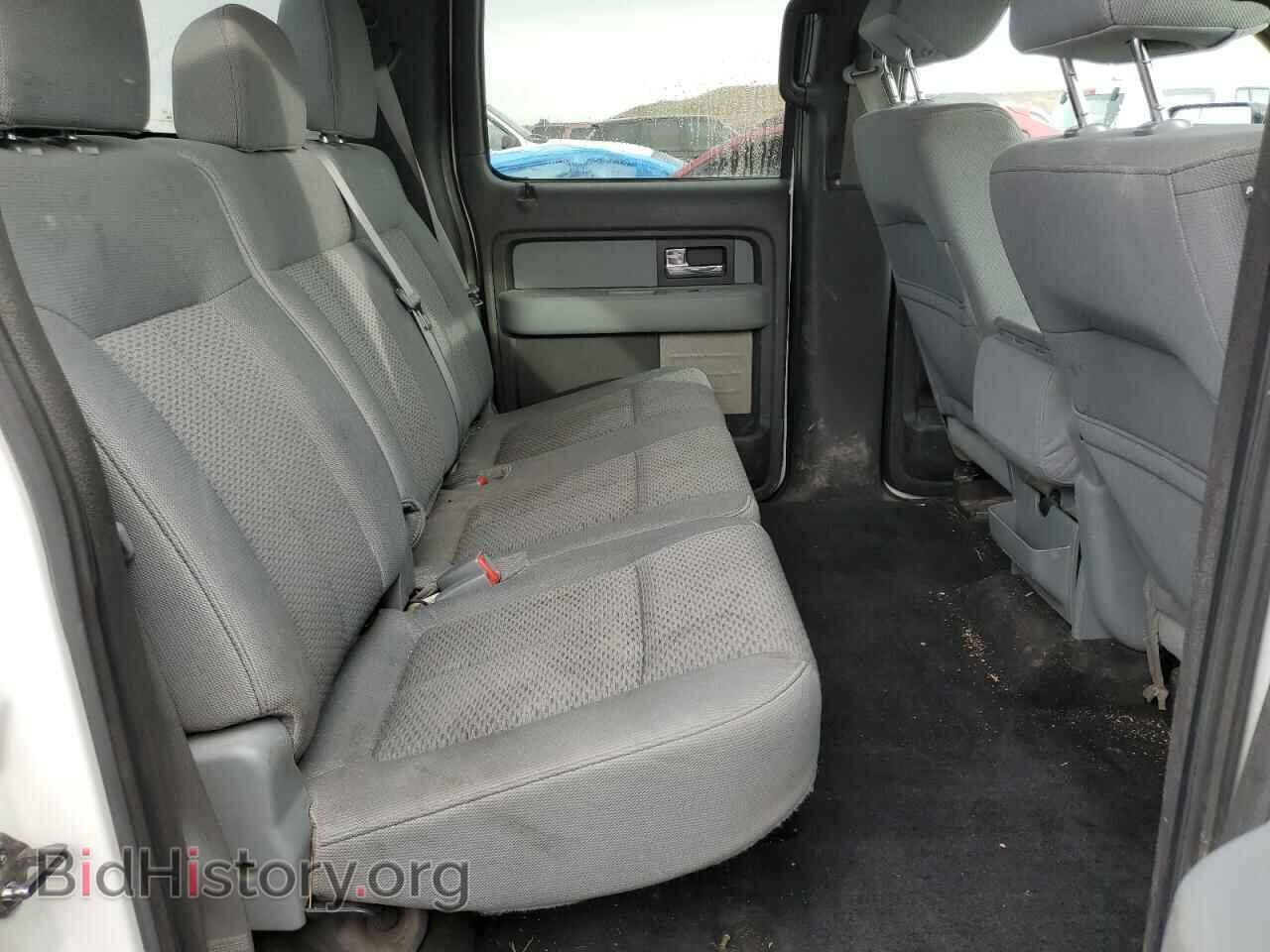 2012 FORD F-150 - VIN: 1FTFW1EF1CFA32405 - Фото 10