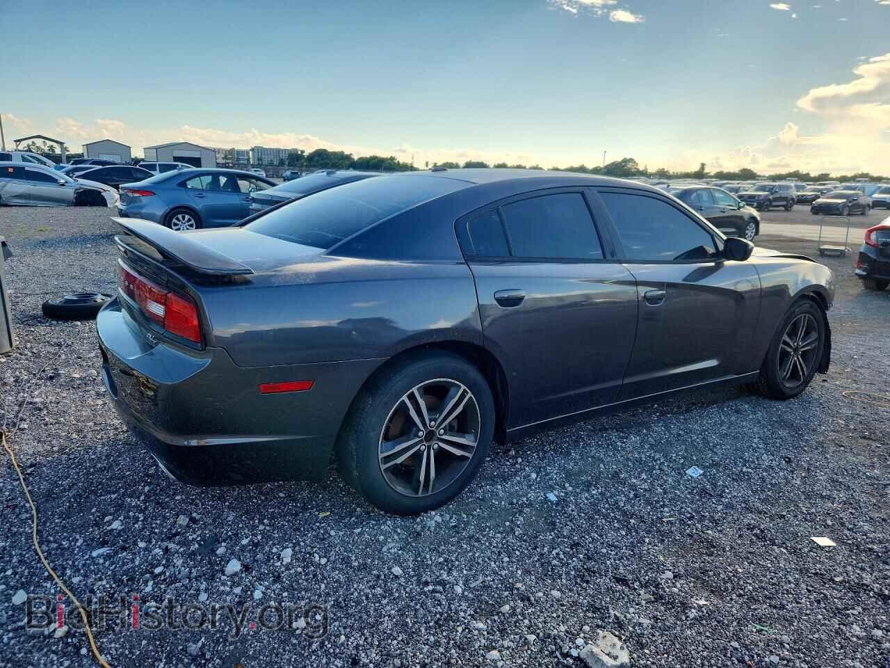 2014 Dodge CHARGER (VIN 2C3CDXDT5EH320484) — photo 3 of 12