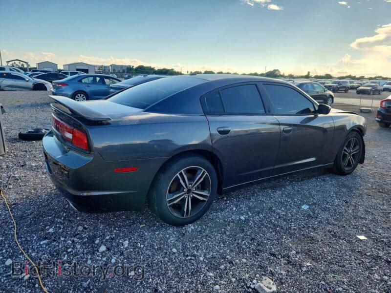 2014 Dodge CHARGER (VIN 2C3CDXDT5EH320484) — photo 3 of 12