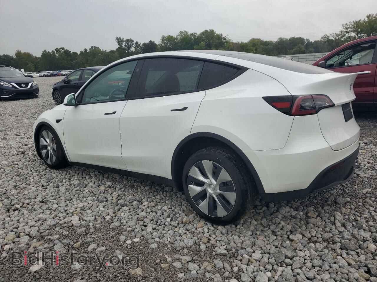 2023 TESLA MODEL Y - VIN: 7SAYGDEE3PF831288 - Фото 2