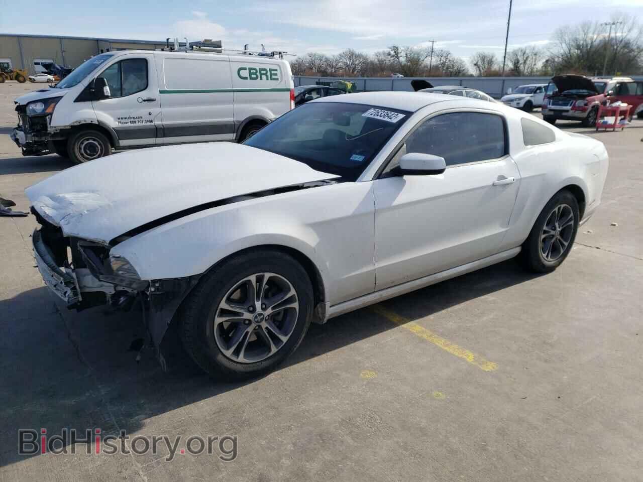 Photo 1ZVBP8AM9E5199898 - FORD MUSTANG 2014