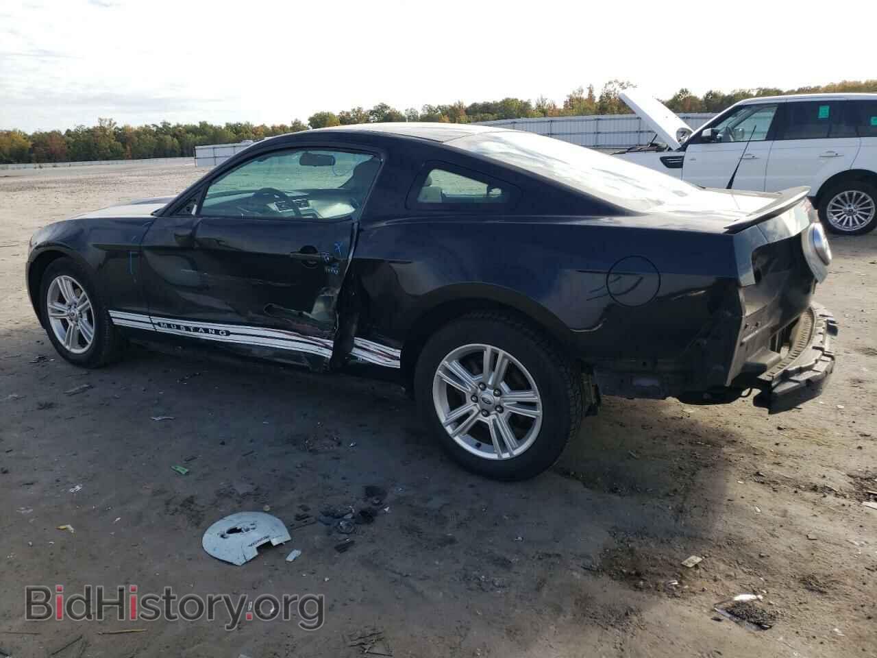 2010 FORD ALL Models - VIN: 1ZVBP8AN8A5124094 - Фото 2