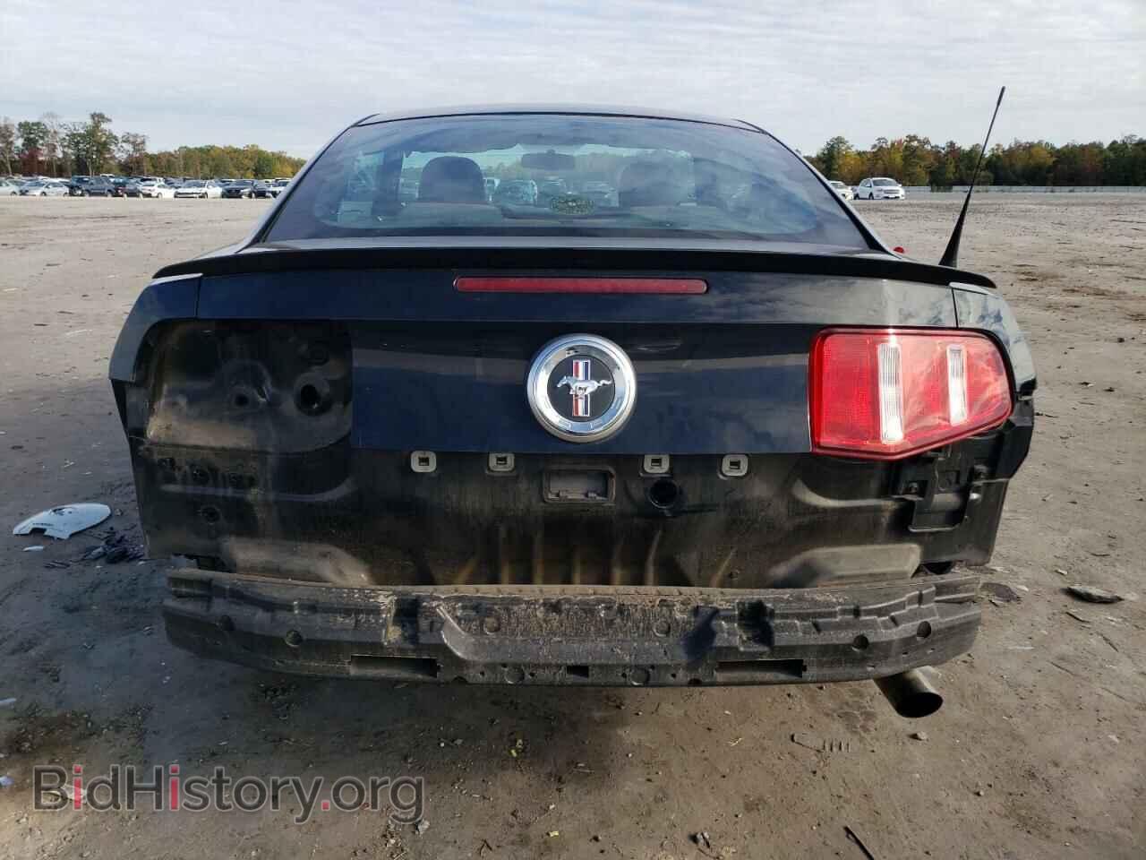 2010 FORD ALL Models - VIN: 1ZVBP8AN8A5124094 - Фото 6