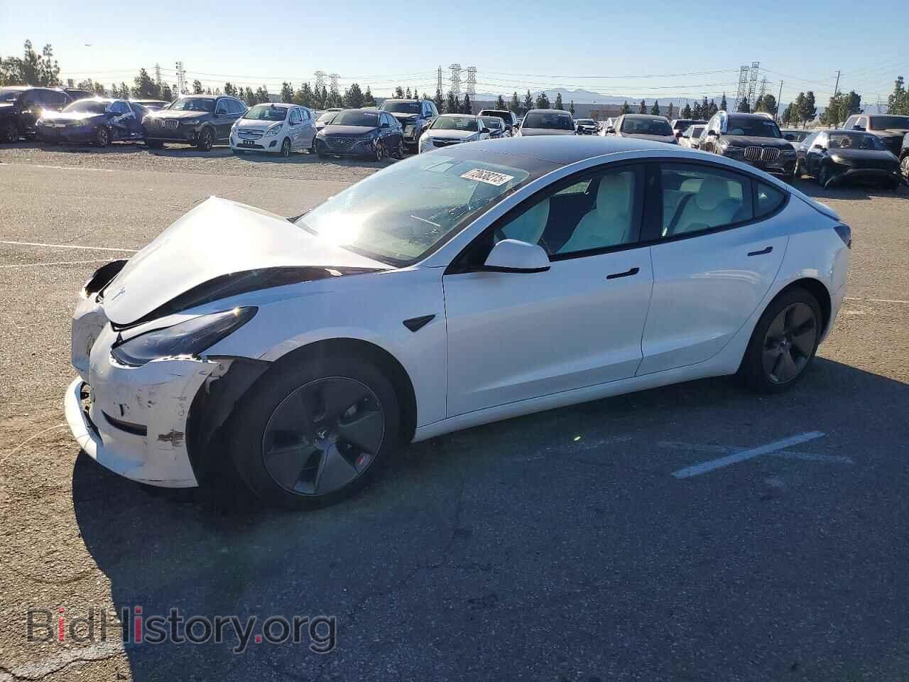 Photo 5YJ3E1EA8MF057074 - TESLA MODEL 3 2021